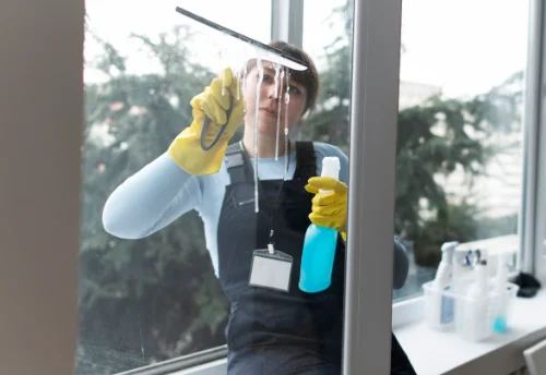 Nettoyage de vitres intérieures et extérieures à Nieuil